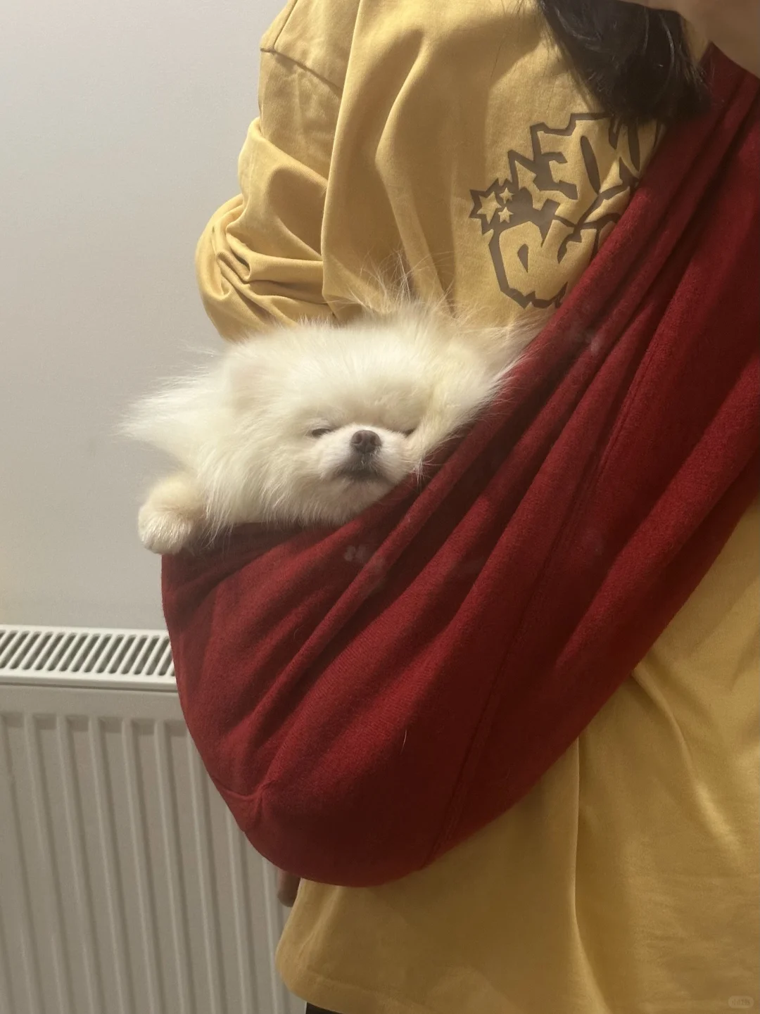 袈裟里的宝宝佛