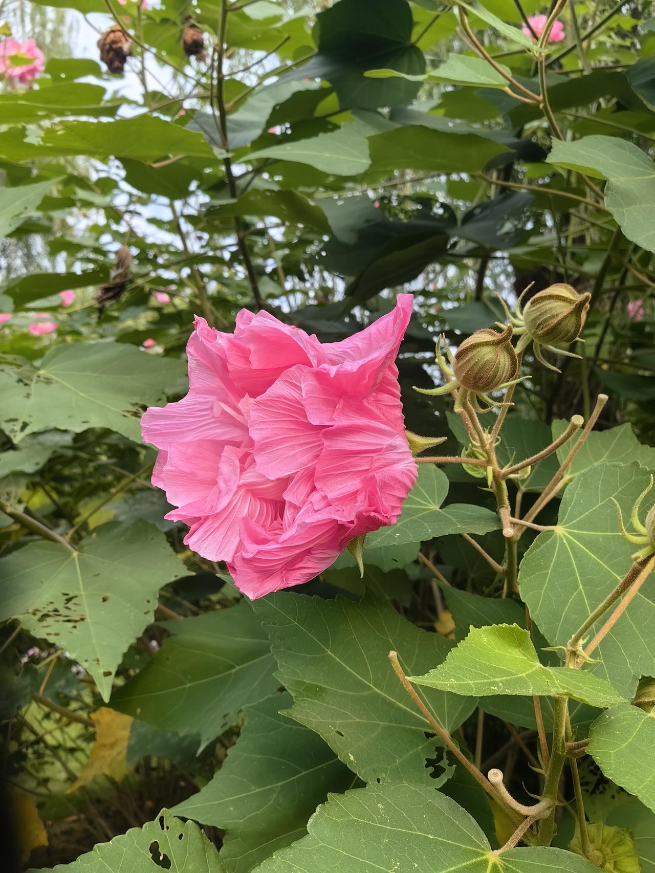 天元重工下周二北交所申购
    根据北交所网站发布，下周二（22日）天元重工上