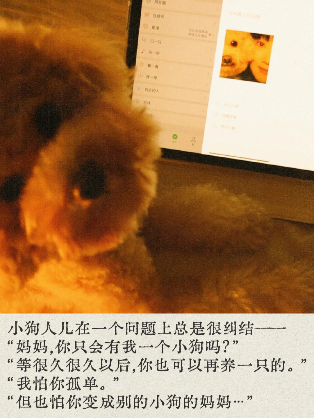 小狗的爱永远热烈而真诚