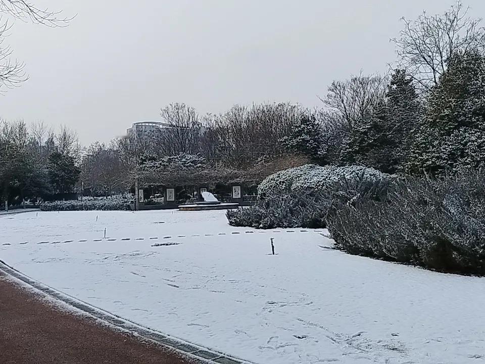 今年下雪，都是前一天下，第二天出太阳，不是太冷，没有大冻