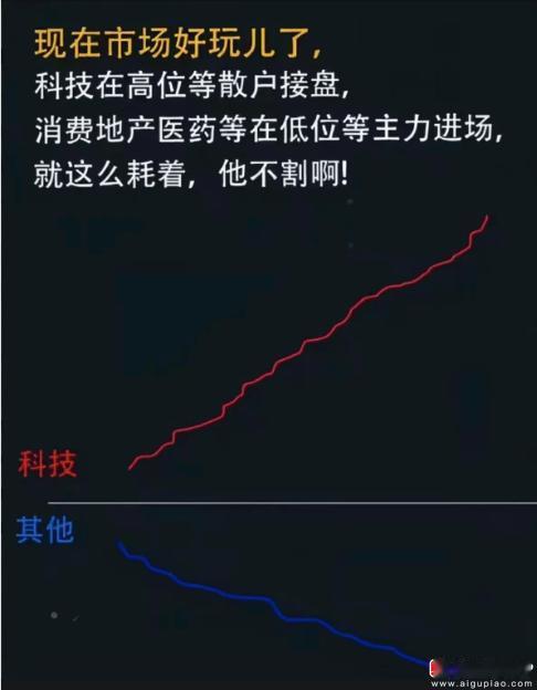今天朋友问我，未来1年时间，是涨了5倍、10倍的小登继续涨1倍概率大？还是跌了6