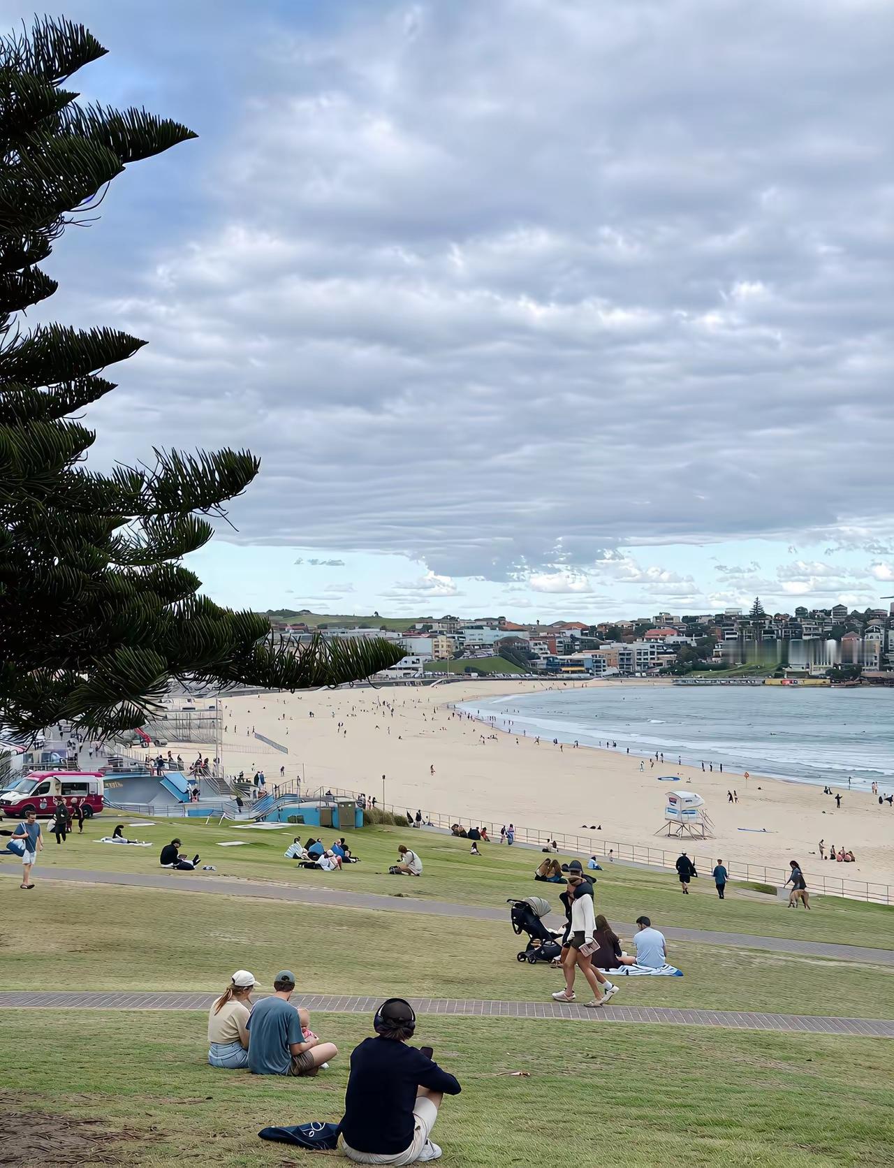 在悉尼的华人美女