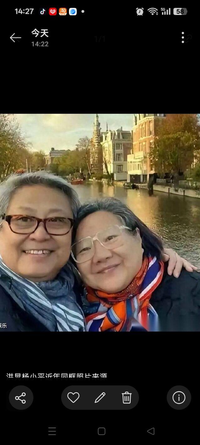 洪晃杨小平的这张相片儿可是太接地气了，这是他们在荷兰运河旅行自拍的，洪晃戴浅色方