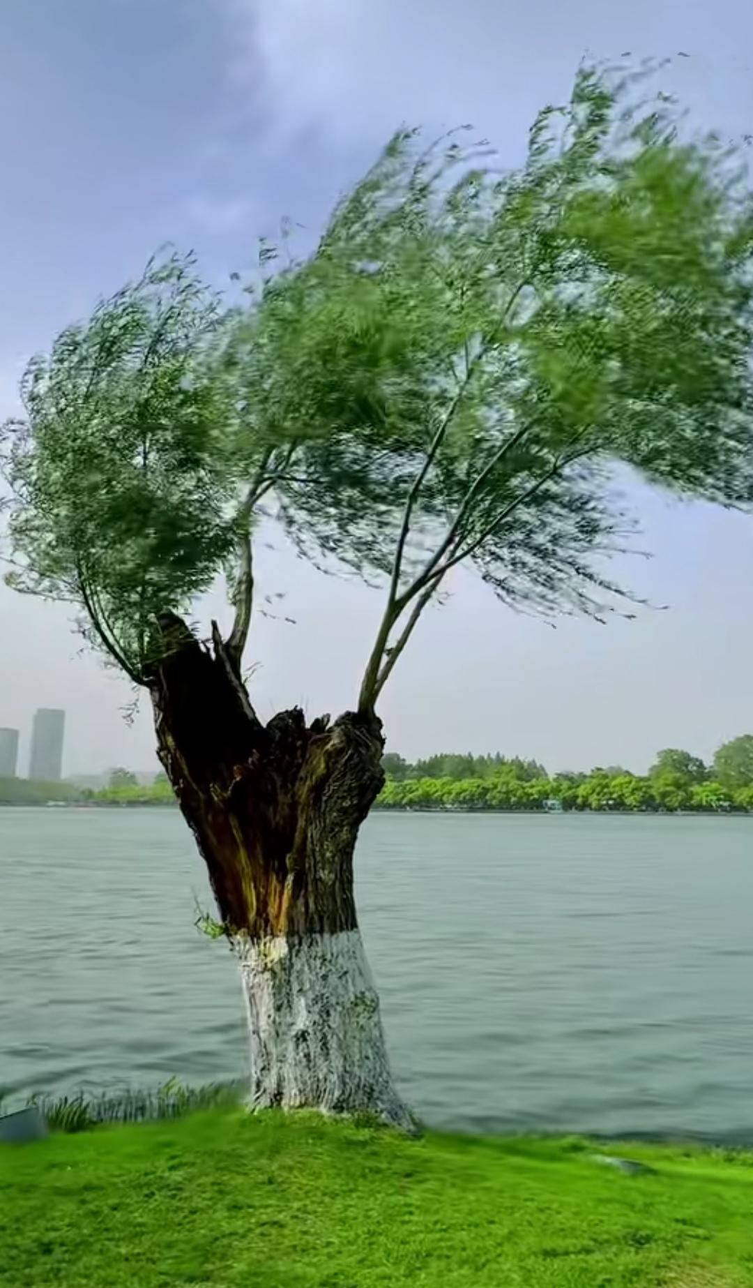 发一张图片证明你来过南京