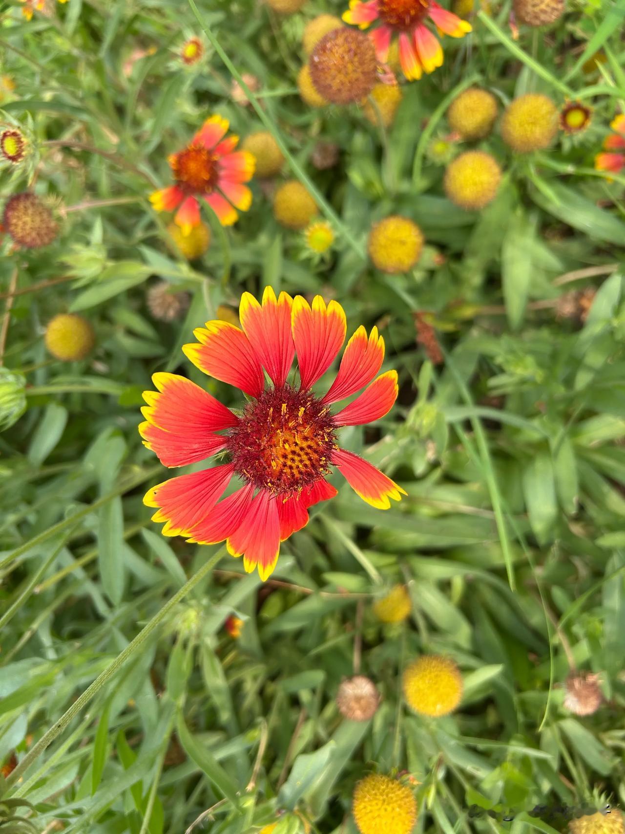 昨天物业挨家敲门查楼道烟味，就是怕出事儿。上个月海淀那场火灾，想想就揪心。烟头看