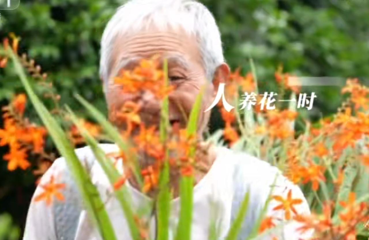 红绸剪彩的热闹瞬间，老两口被橙红繁花簇拥的笑颜，定格出生活里的美好时刻。剪彩的掌