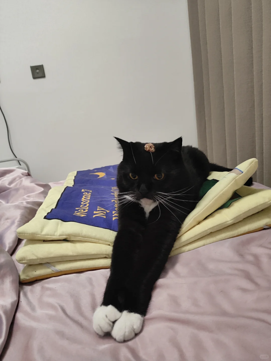 宝宝你的手好小好白啊，用的什么护手霜