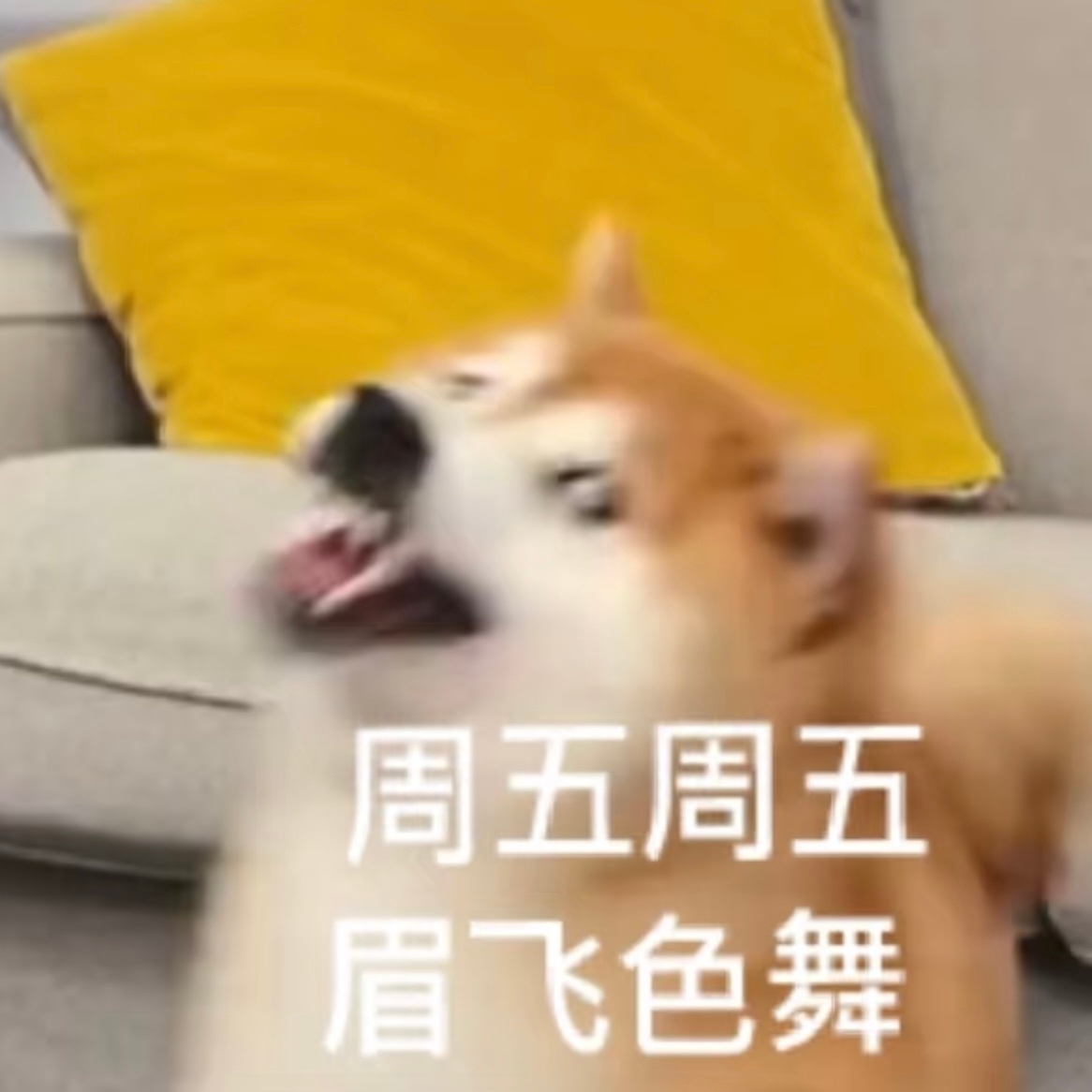 周五快乐！开始搬砖！🧱早安 上海·米其林(中国)投资有限公司