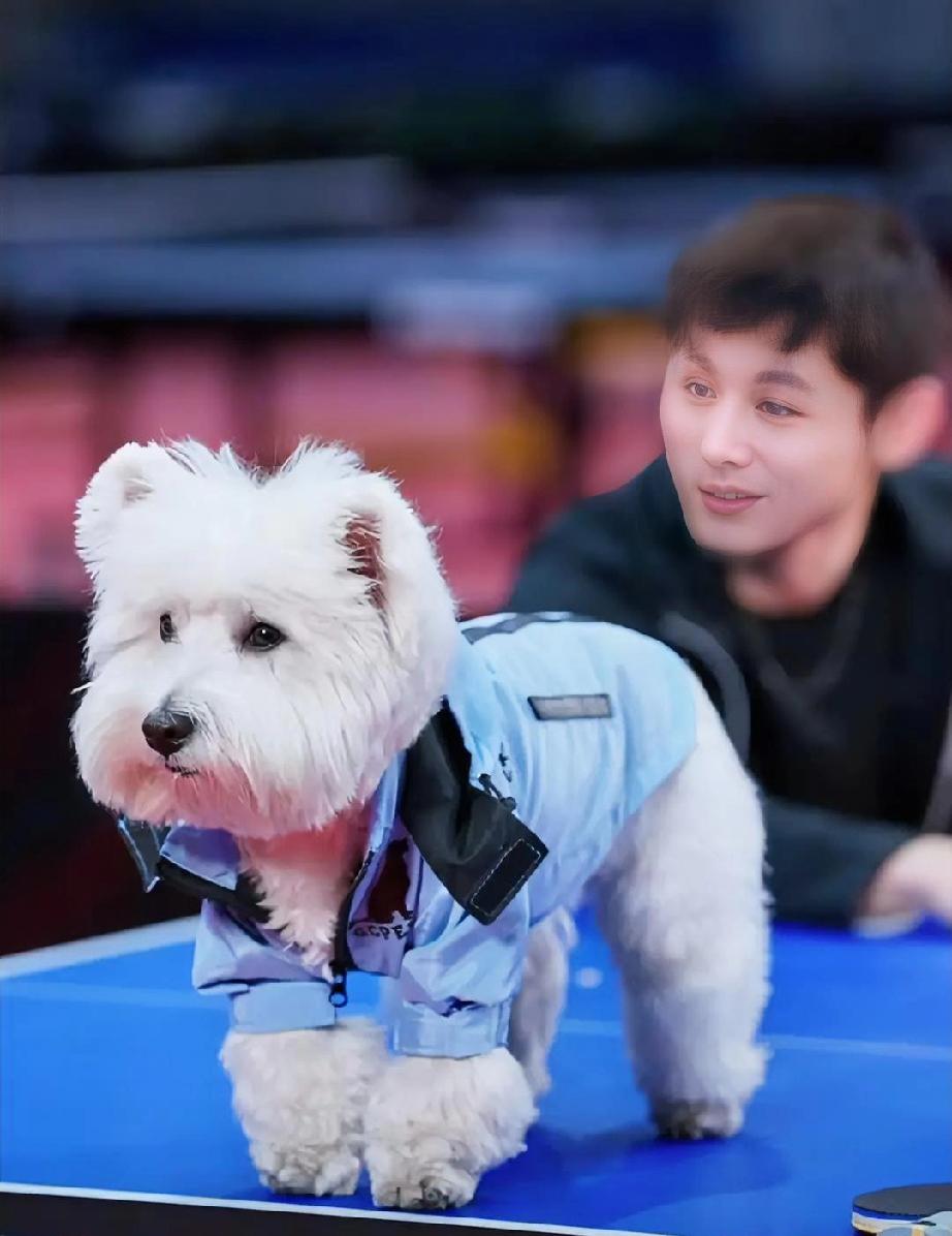 张继科的狗狗叫“金牌”，金牌今天过生日！
直播间里人祝贺，祝贺金牌生日快乐！
科