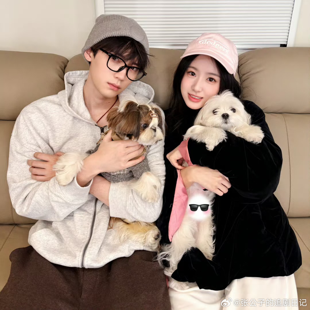 慕慕昭昭抱抱猫猫发布会全程贴贴、低头私语、同步率超高，只盯对方不看镜头，抱抱猫猫