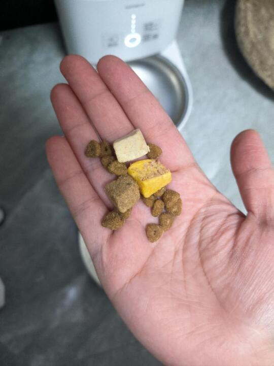 选好狗粮解放双手