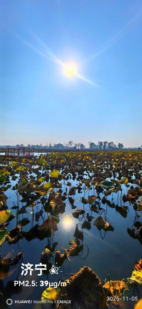 万里同心,共护黄河 济宁微山湖湿地。美！蔚蓝地图实景。2025年11月05日14
