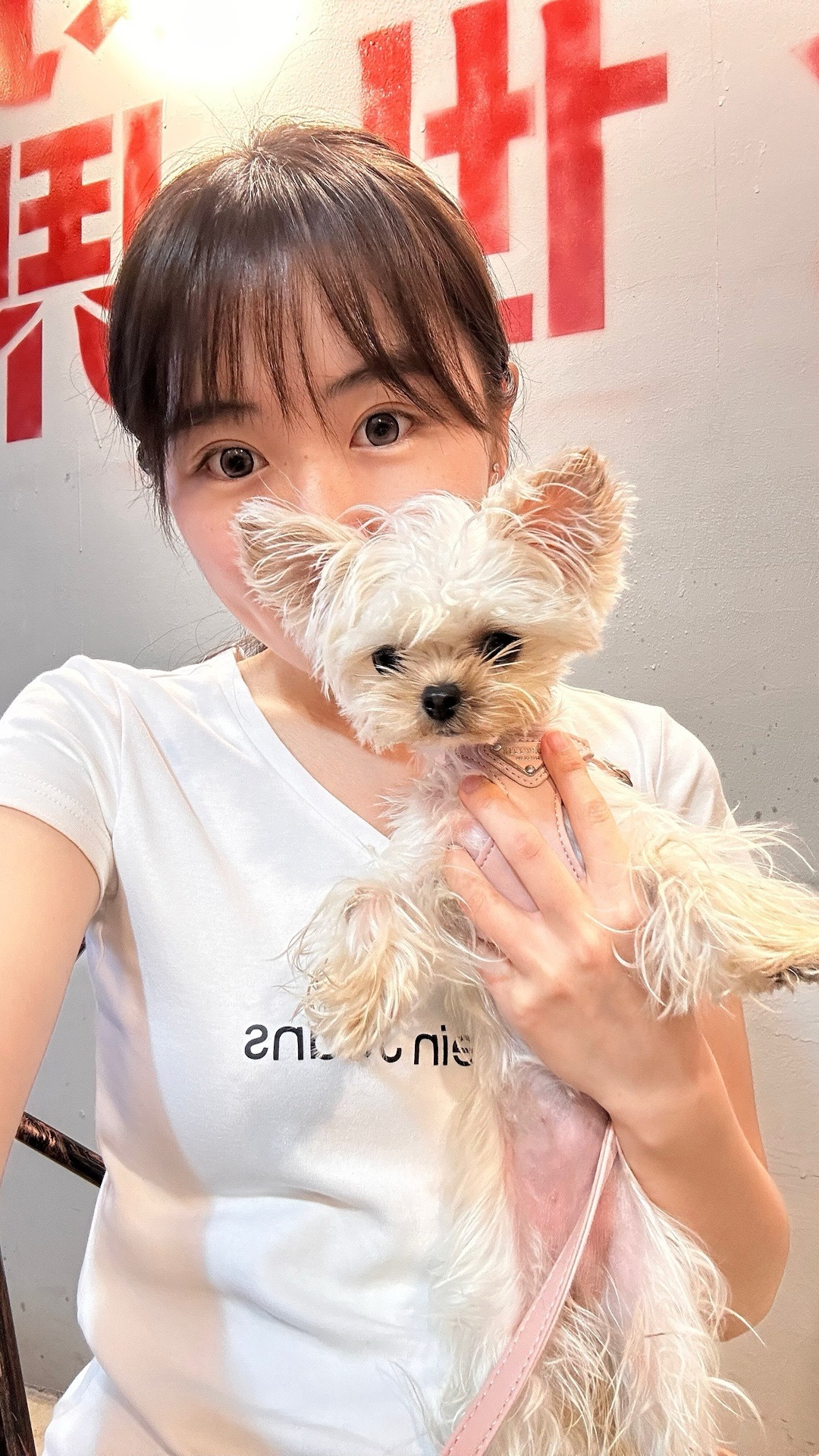 好好吃的一天๑ᵔ⤙ᵔ๑ 可爱小狗[憧憬]  ​​​
