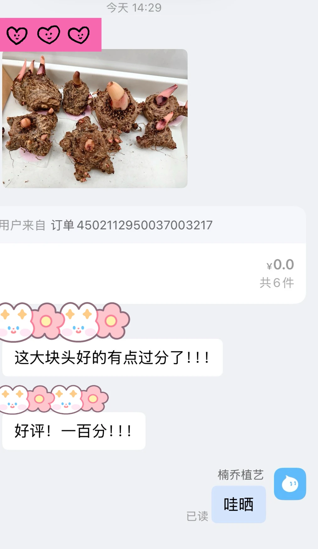 我们家的球好到这种程度我咋不知道🤣