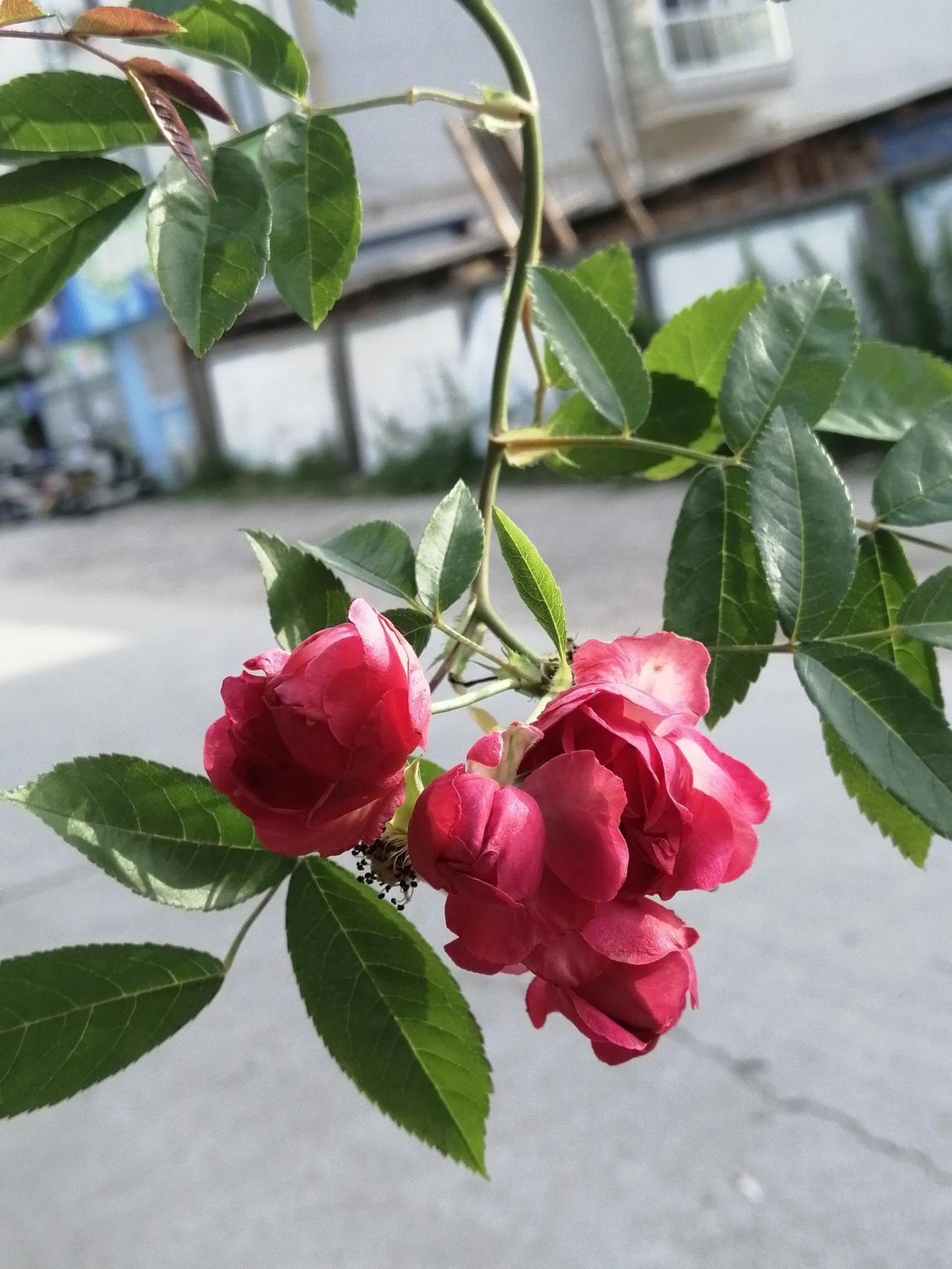周围明明有好几个人，但是一个人挑起话头却没人接华奥，会是什么感觉？是不是有些尴尬
