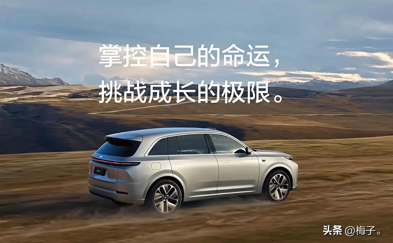当下最火的五大汽车语音助手：
1、理想汽车：理想同学；
2、蔚来：Hi NOMI