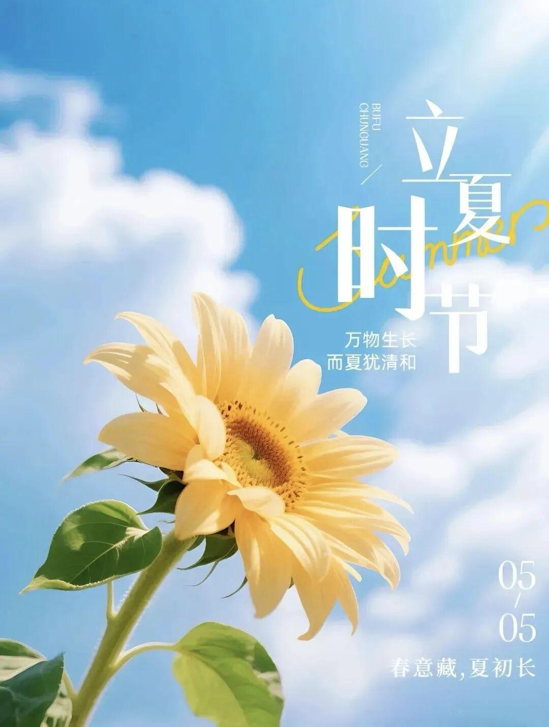 荷叶初展，蛙声渐浓，立夏如约而至。人间草木皆丰盛，岁月温柔又安然，愿我们在夏日里