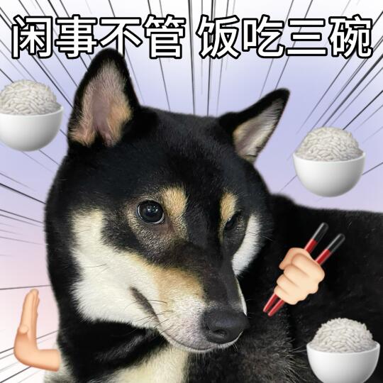 表情包|活着就是为了一张嘴😋
