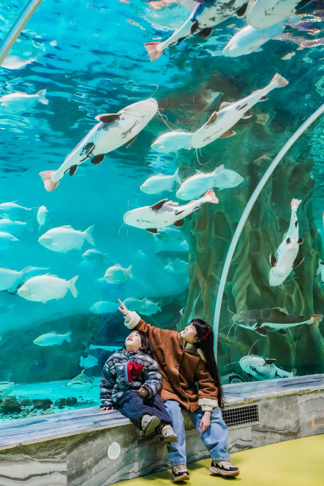 本以为珠海长隆够美了，直到带娃来到这