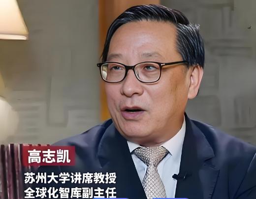 高志凯教授对日本采取的建议，我非常赞同。
第一、禁止向日本出口稀土。
第二、禁止