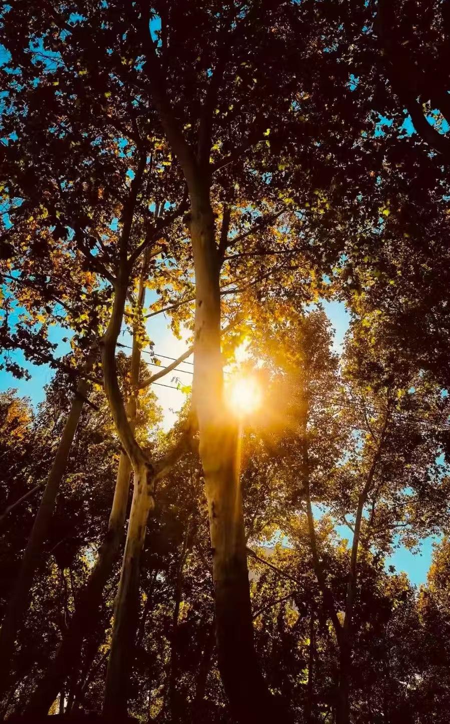 日出吉祥，
日落安康。