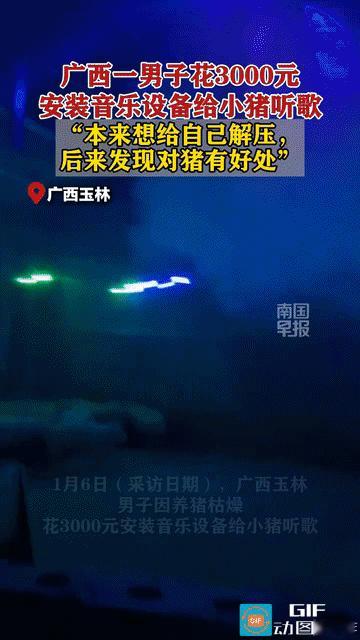 “解释不清了！”广西玉林，男子养猪感觉太枯燥了就花钱在猪圈里安装了一套音乐设备来