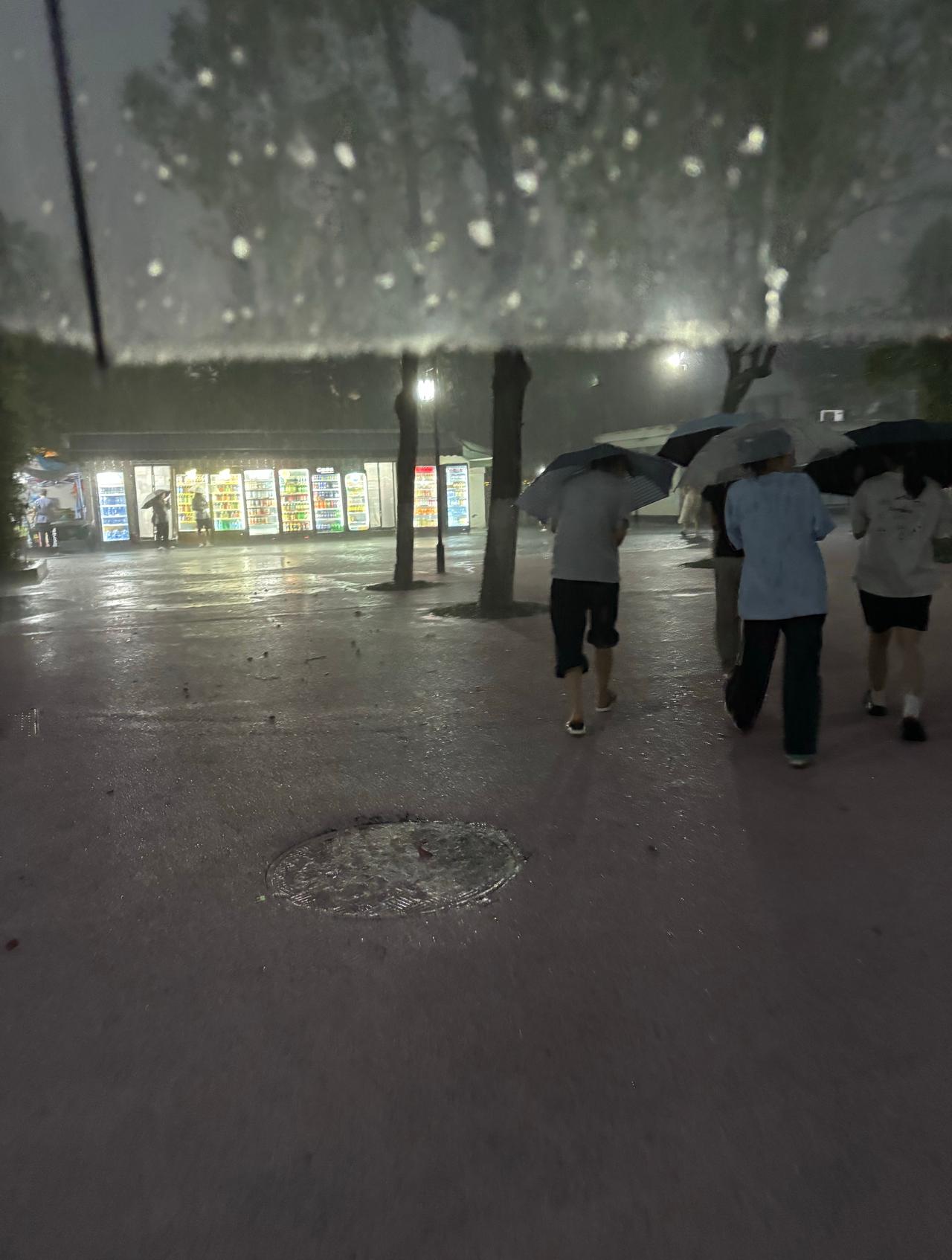 安徽雨真小 ​​​