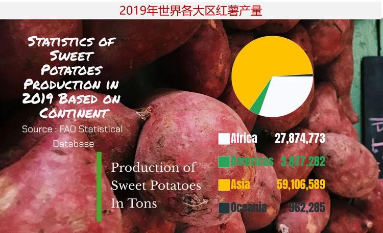 亚洲和非洲仍是红薯的主要产区，2021年中国红薯产量占总世界的一半以上


红薯