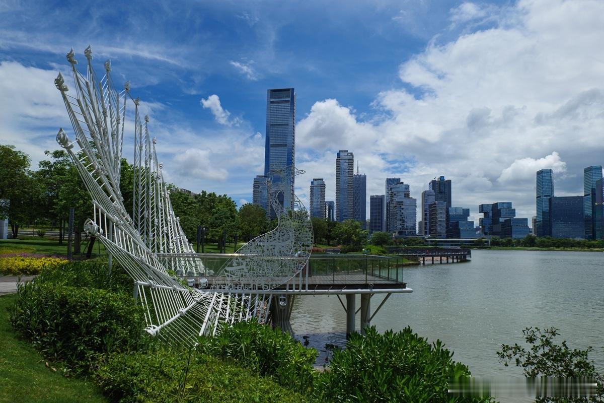 浮躁的时代，人人都想成为网红，一夜暴富但普通人做个人品牌还是要做成电视连续剧要有