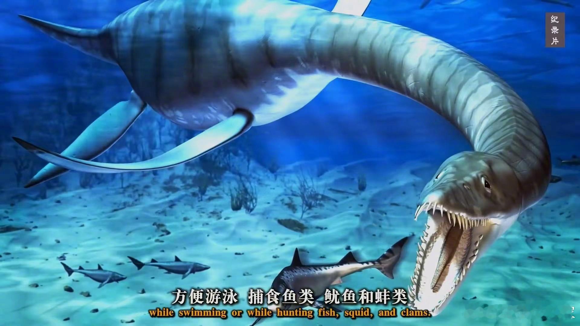 字幕组古生物类作品汇总 共40集 欢迎领取👇爱登堡爵士与猛犸象墓场爱登堡与巨型