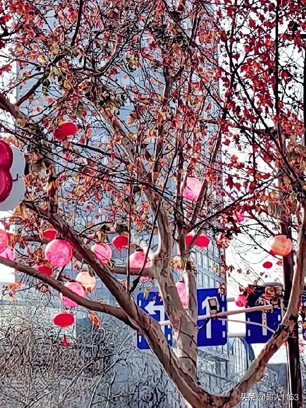 年快到了，
街头年味越来越足。

红红的灯笼挂起来，
漂亮的中国结，

美丽的彩