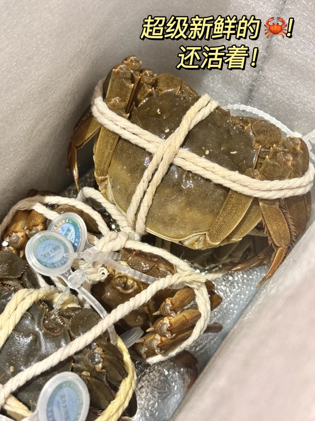 现在的大闸蟹都是坐飞机来的吗？？？