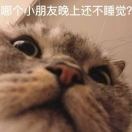 山河热聚影视剧
