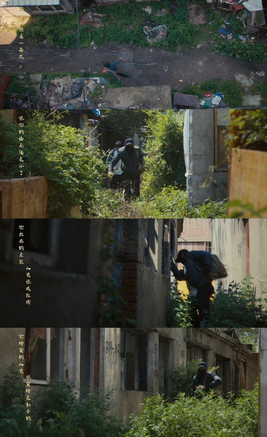 低智商犯罪 雷霆音效脑子里的 bunny bunny 停不下来，张哲华你是我的神