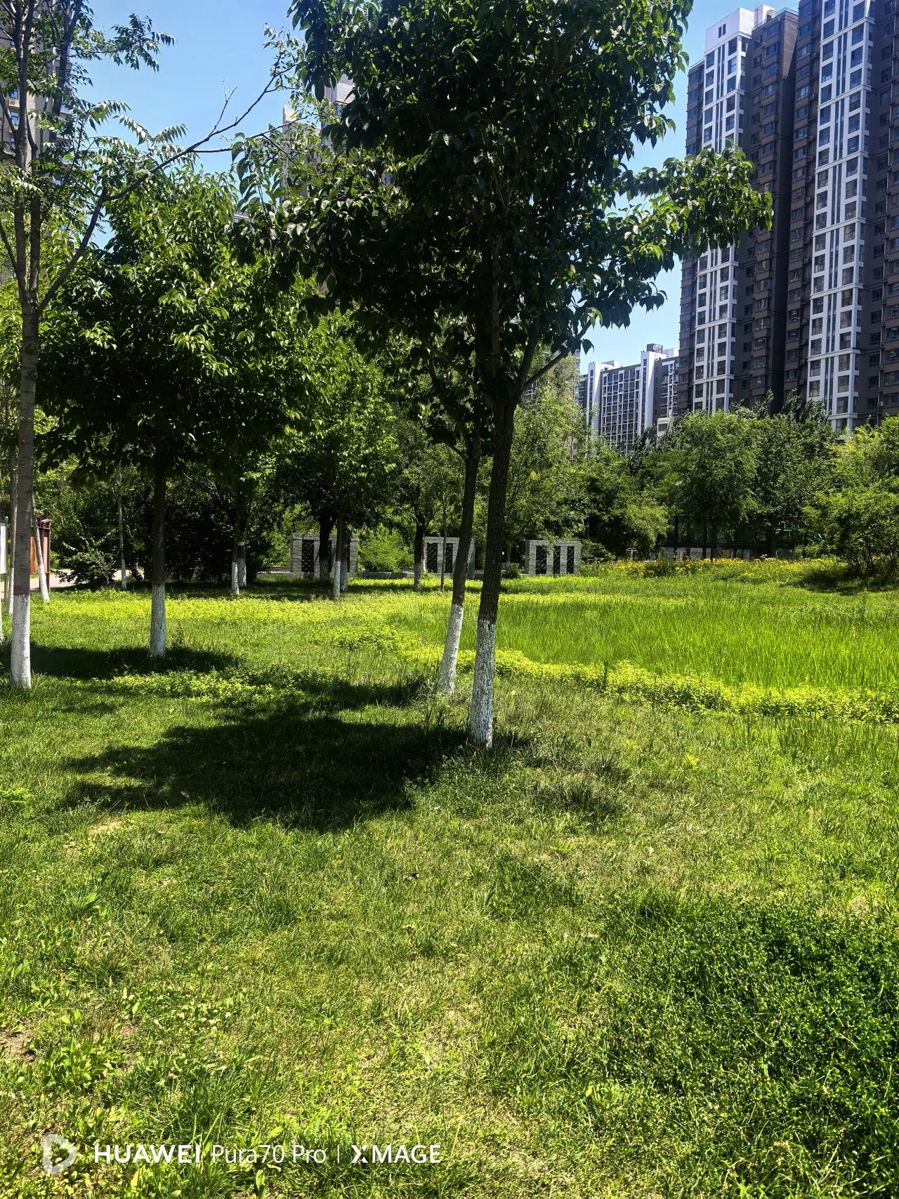 最近条友们抱怨流量少、收益低的越来越多了。其实，我觉着这很正常，今日头条在所有自