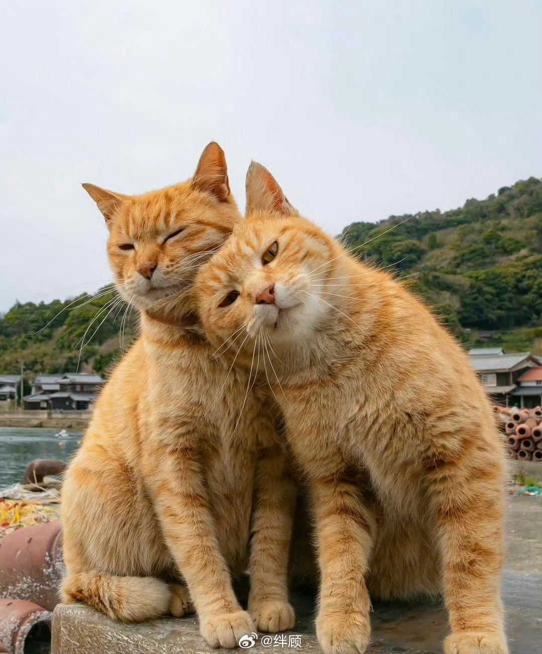 瞅啥，说你呢，迎接你的本月好运 