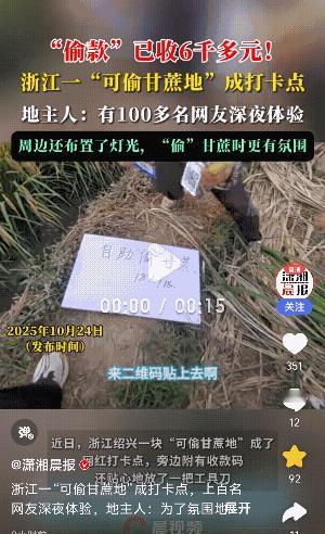 “太刺激了！”浙江绍兴，一块可“偷”的甘蔗地，竟然“偷”成了网红打卡地，大多数人