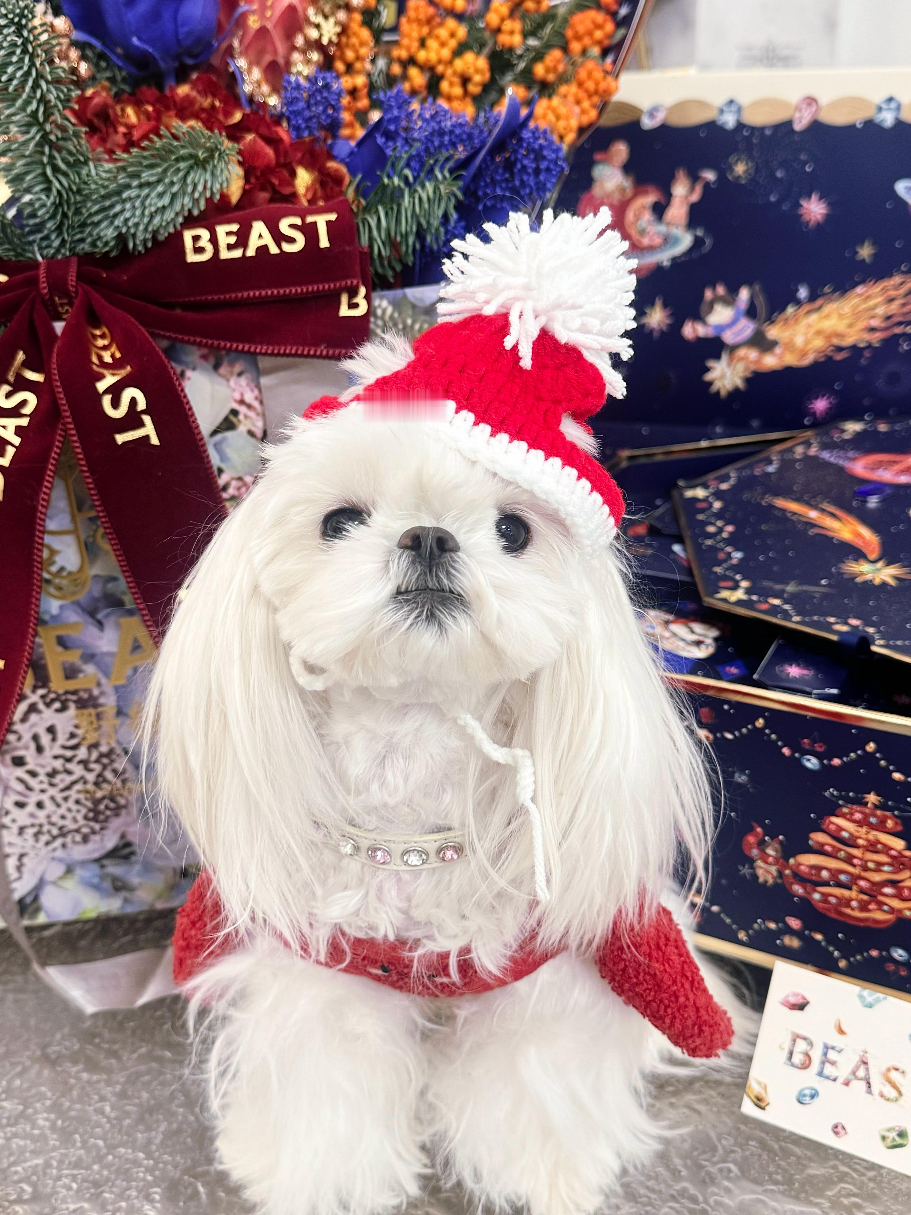 生活的低潮期马上就要过去啦 小姐！ 