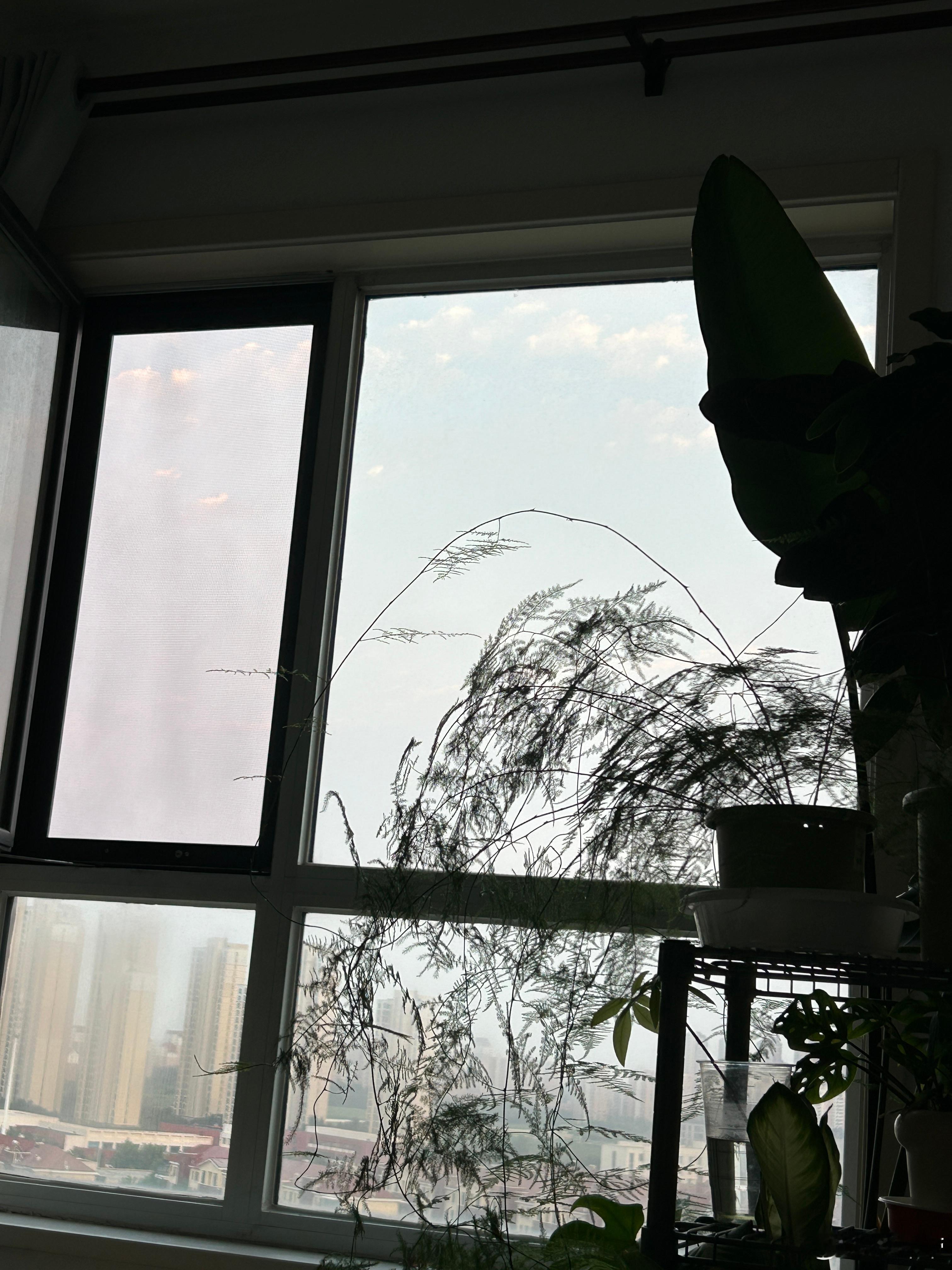 秋天跟夏天真的不一样啊，现在29度，开着窗户，都给我吹冷了