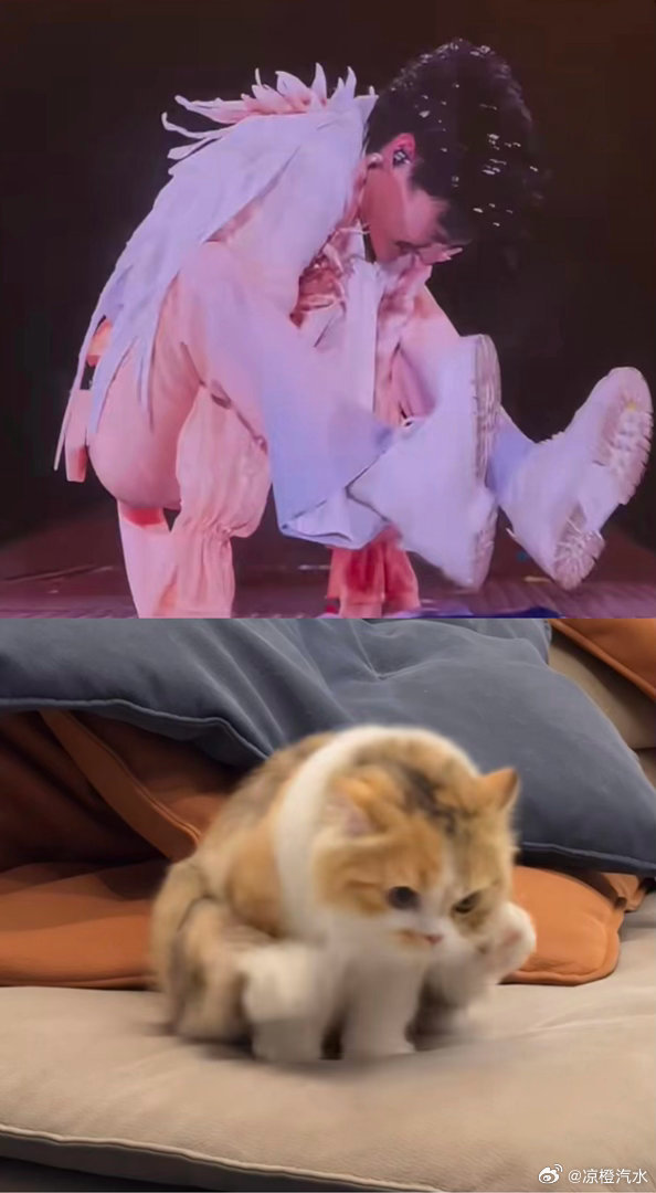 哈哈哈哈哈太可爱了周猫猫周深