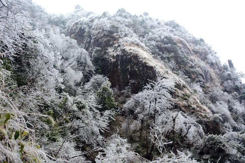 大范围雨雪将至 多地发布停课通知 这天气真是说变就变！中央气象台都三预警齐发了，
