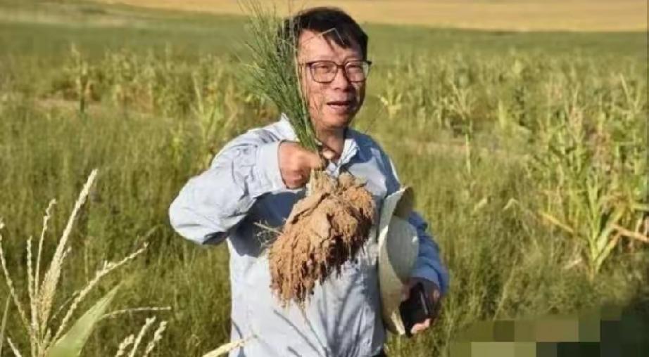 谁能想到，西方发达国家砸进去上万亿都没搞定的世界级难题，竟然被我们中国一位教授，