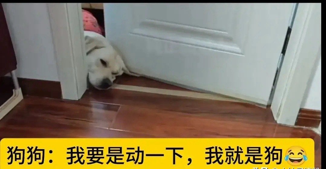今天是肿么回事，商业街那里的店面，从上午到下午都是一堆外卖小哥……今天的天气也还