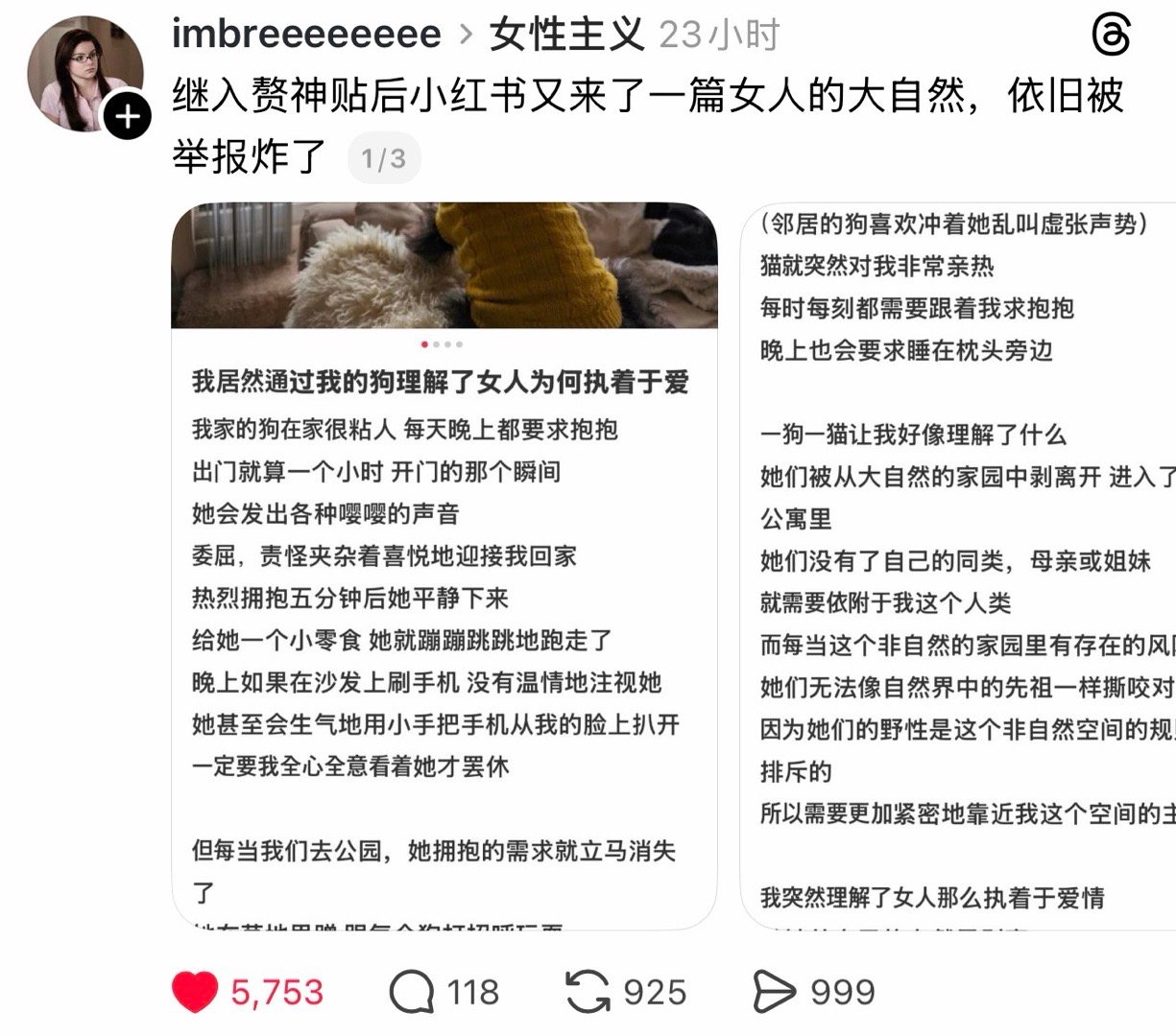 bro们依旧努力阻止女人觉醒…… 