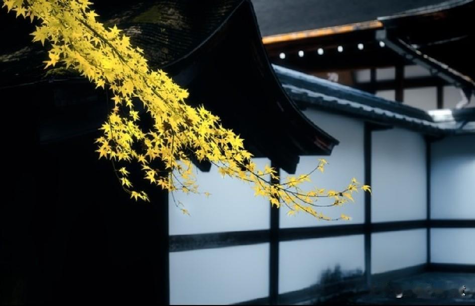 “蝉鸣归于尘烟”


烟火寻常处，偶有心动暗生
似仲夏蝉声婉转——
轻轻撩拨心弦