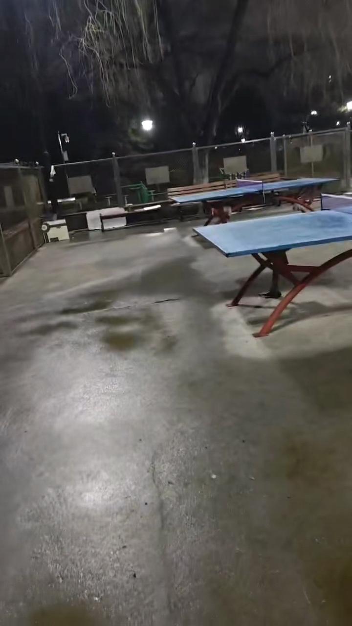 没有对手，并不等同于高手
放眼偌大的球场
仿佛独自包下了场子
连被球虐都成了一种