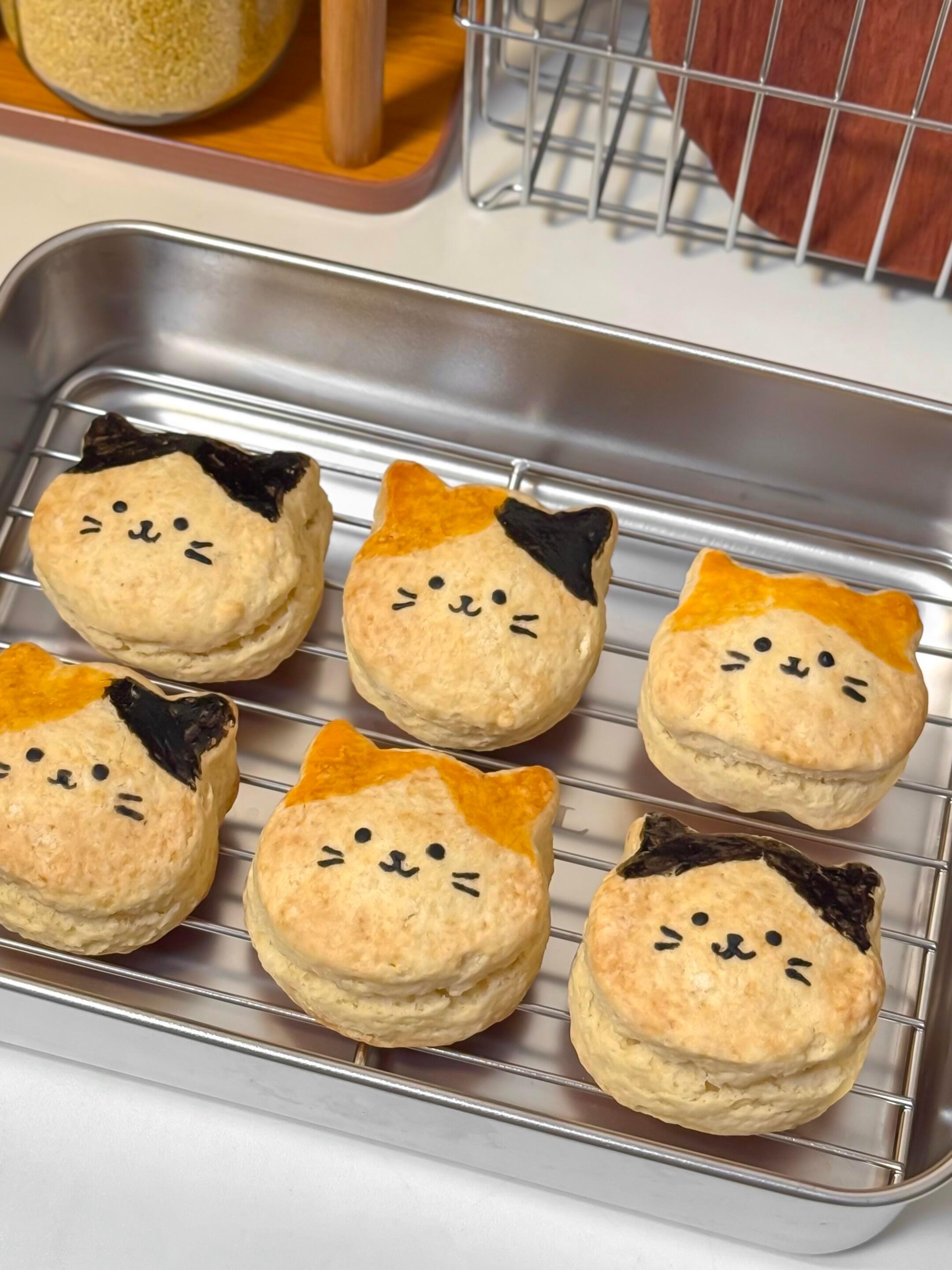 会卖萌的小猫饼干🍪 