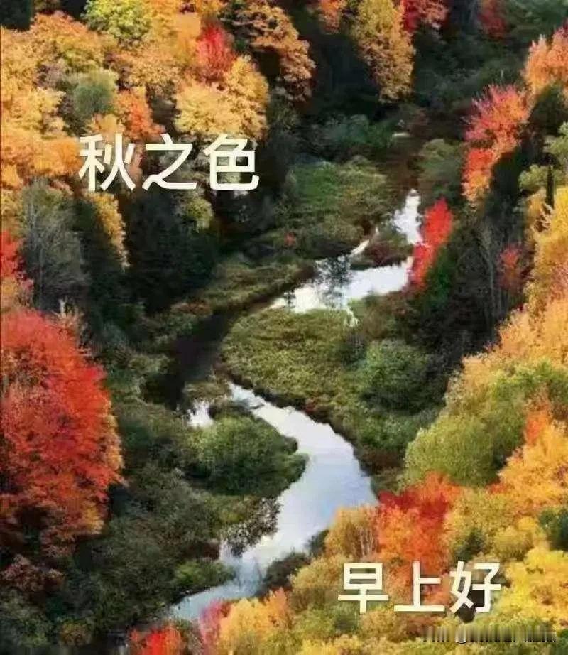 早安🍎🌿吉祥🍒🌴
今天立秋，祝各位朋友立秋快乐！秋爽舒畅，别忘了吃饺子。