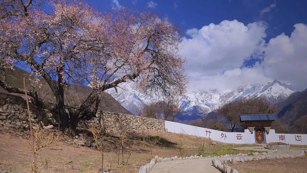旅行随手拍误打误撞进了一条夜市街，烤串的烟火气、冰粉的甜香、小贩的吆喝声混在一起