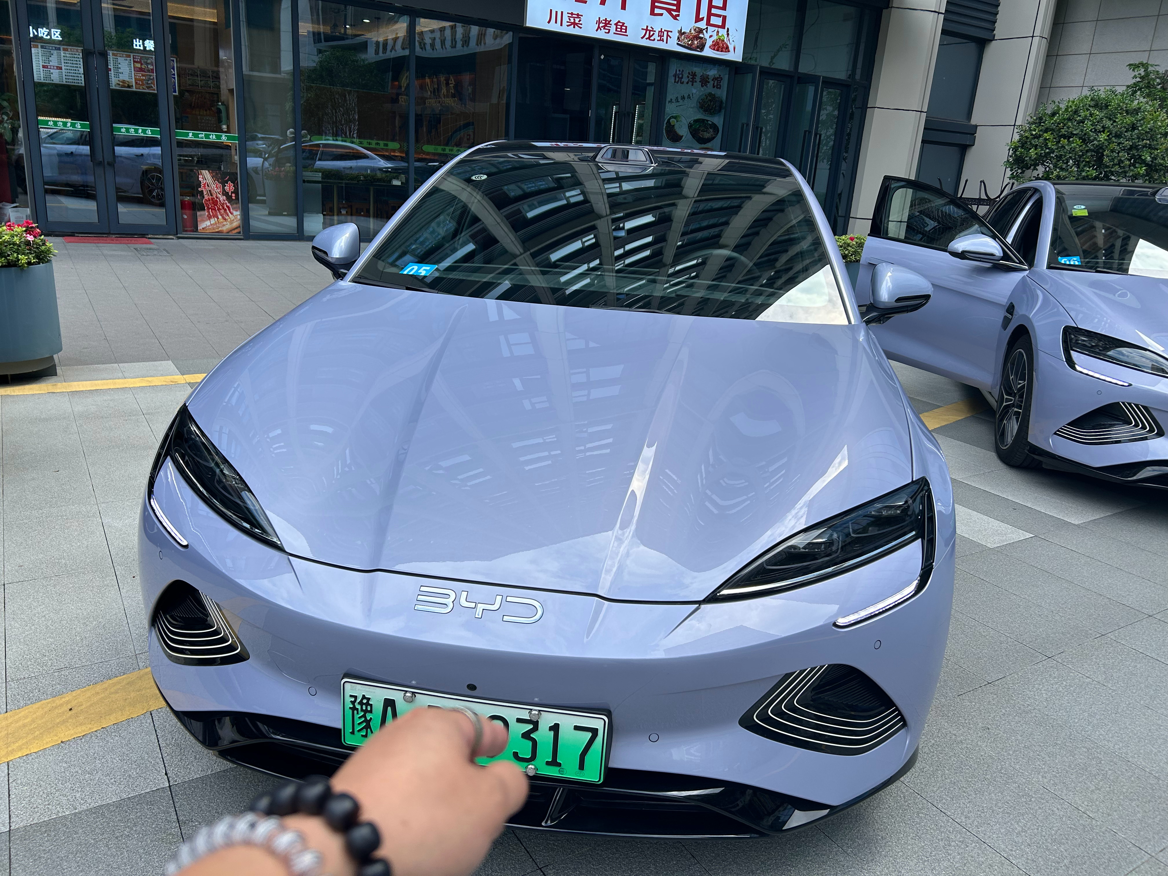 久违的小海豹，来笑一个 ​​​